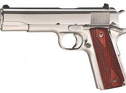 COLT BRIGHT STAINLESS GOVERNMENT